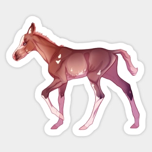 Sabino Foal Sticker